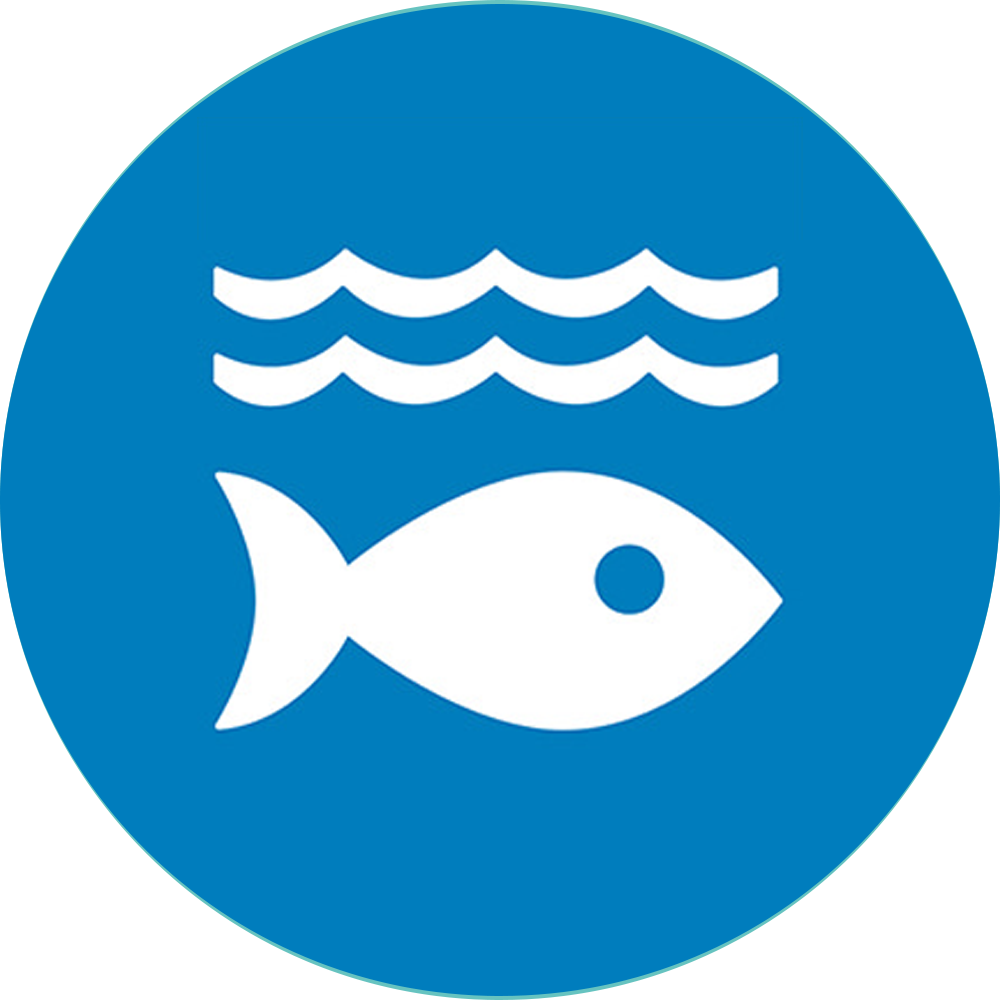 SDG 14: Life Below Water