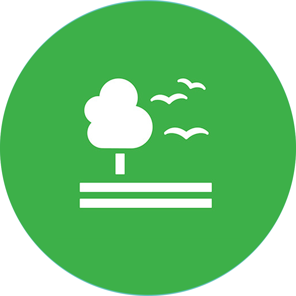SDG 15: Life on Land